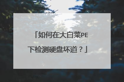 如何在大白菜PE下检测硬盘坏道?