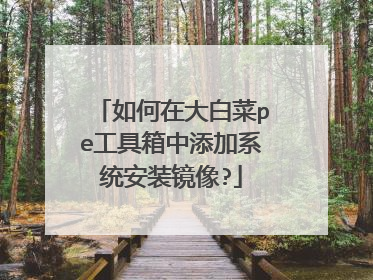 如何在大白菜pe工具箱中添加系统安装镜像?