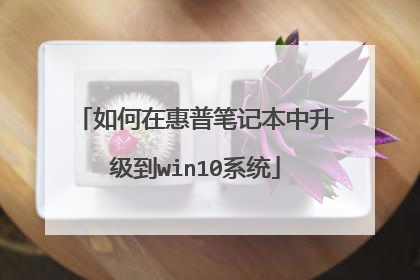 如何在惠普笔记本中升级到win10系统