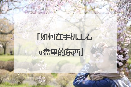 如何在手机上看u盘里的东西