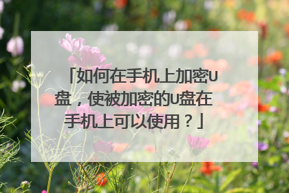 如何在手机上加密U盘，使被加密的U盘在手机上可以使用？