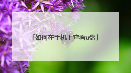 如何在手机上查看u盘