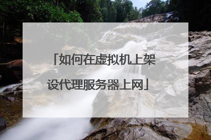 如何在虚拟机上架设代理服务器上网