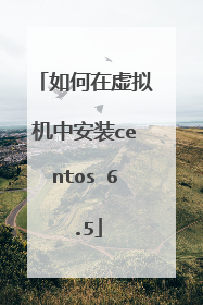 如何在虚拟机中安装centos 6.5