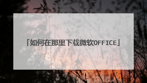如何在那里下载微软OFFICE