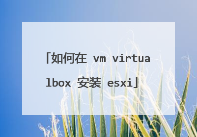 如何在 vm virtualbox 安装 esxi