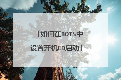 如何在BOIS中设置开机CD启动