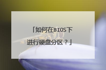 如何在BIOS下进行硬盘分区?