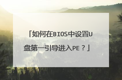 如何在BIOS中设置U盘第一引导进入PE?