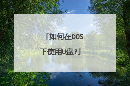 如何在DOS下使用U盘?