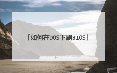 如何在DOS下刷BIOS