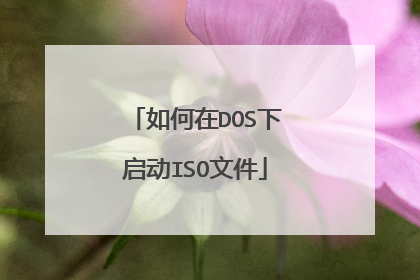 如何在DOS下启动ISO文件