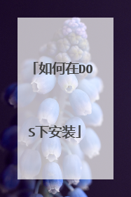 如何在DOS下安装