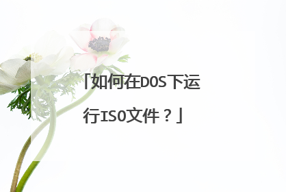 如何在DOS下运行ISO文件?
