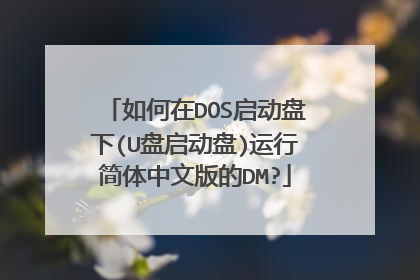 如何在DOS启动盘下(U盘启动盘)运行简体中文版的DM?