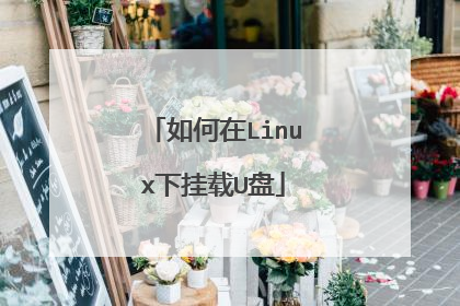 如何在Linux下挂载U盘