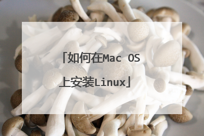 如何在Mac OS上安装Linux