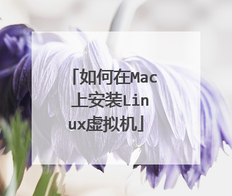 如何在Mac 上安装Linux虚拟机