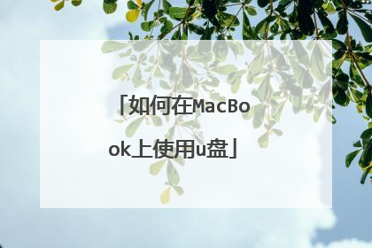 如何在MacBook上使用u盘
