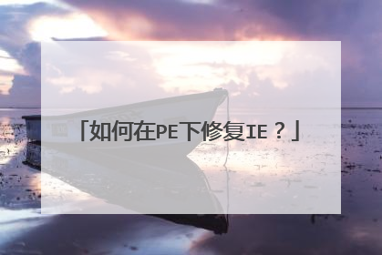 如何在PE下修复IE？