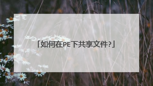 如何在PE下共享文件?
