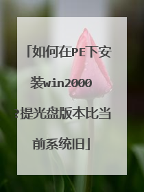如何在PE下安装win2000?提光盘版本比当前系统旧