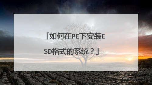 如何在PE下安装ESD格式的系统？