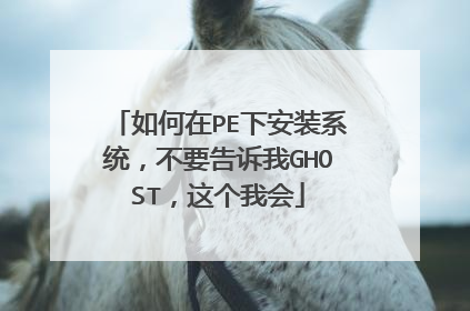 如何在PE下安装系统,不要告诉我GHOST,这个我会