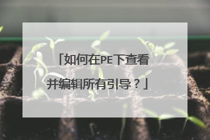如何在PE下查看并编辑所有引导？