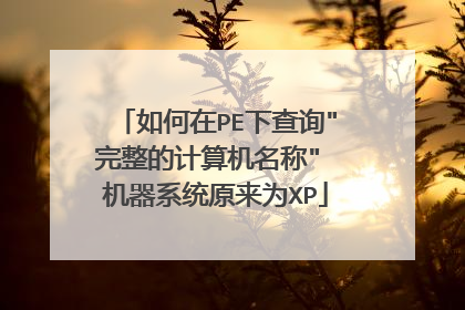 如何在PE下查询