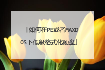 如何在PE或者MAXDOS下低级格式化硬盘