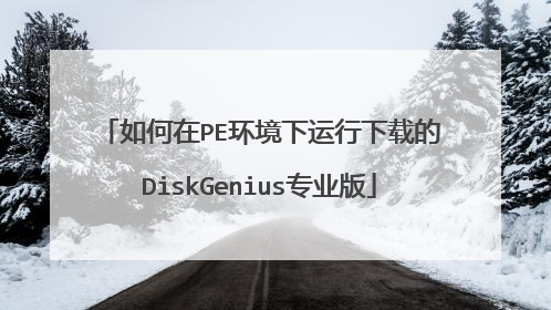 如何在PE环境下运行下载的DiskGenius专业版