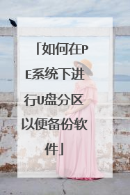 如何在PE系统下进行U盘分区以便备份软件