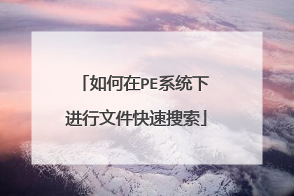 如何在PE系统下进行文件快速搜索