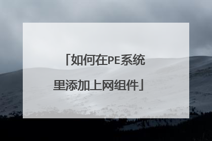如何在PE系统里添加上网组件
