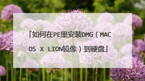 如何在PE里安装DMG(MAC OS X LION镜像)到硬盘