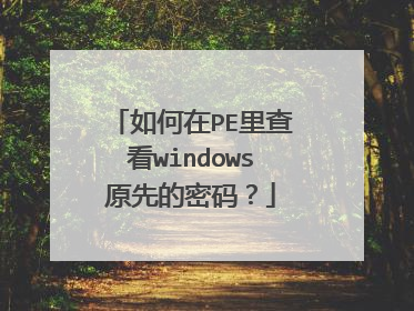 如何在PE里查看windows原先的密码?