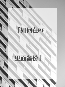 如何在PE里面备份