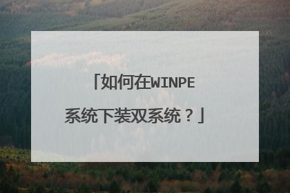 如何在WINPE系统下装双系统？