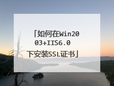 如何在Win2003+IIS6.0下安装SSL证书