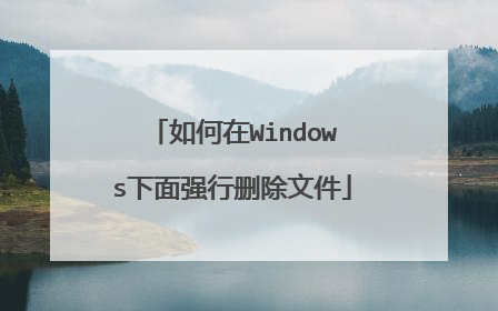 如何在Windows下面强行删除文件