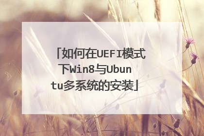 如何在UEFI模式下Win8与Ubuntu多系统的安装