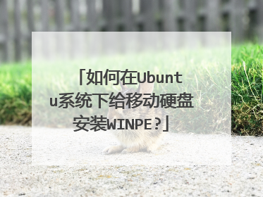 如何在Ubuntu系统下给移动硬盘安装WINPE?