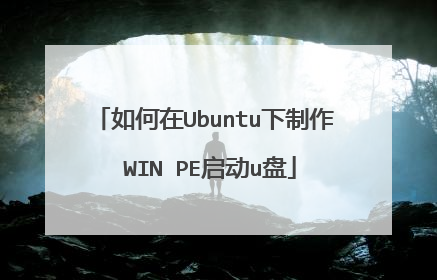 如何在Ubuntu下制作 WIN PE启动u盘