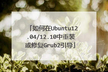 如何在Ubuntu12.04/12.10中重装或修复Grub2引导