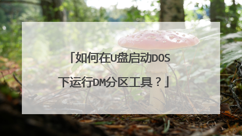 如何在U盘启动DOS下运行DM分区工具？