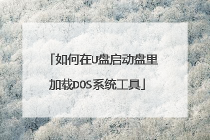 如何在U盘启动盘里加载DOS系统工具