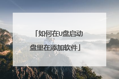 如何在U盘启动盘里在添加软件