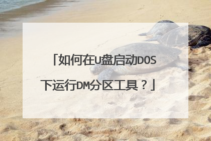 如何在U盘启动DOS下运行DM分区工具？