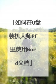 如何在U盘装机大师PE里使用Word文档